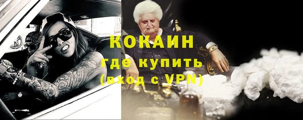 индика Вязьма