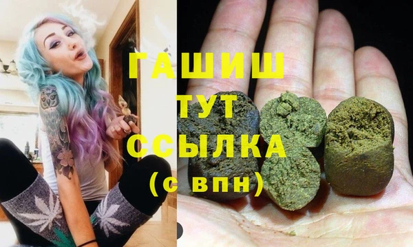 индика Вязьма