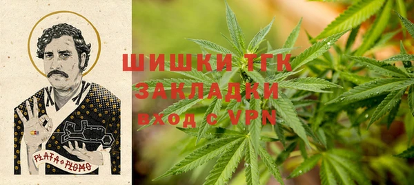 индика Вязьма