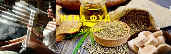 индика Вязьма