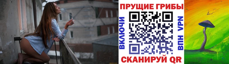 Галлюциногенные грибы GOLDEN TEACHER  где купить наркоту  OMG ссылки  Зубцов 